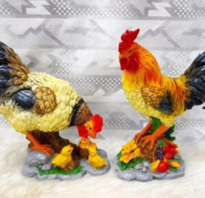 تصویر از مرغ وخروس