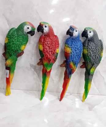 تصویر از طوطی تکی