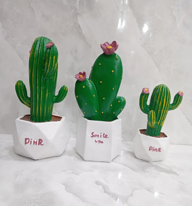 تصویر از کاکتوس رنگی 2مدل