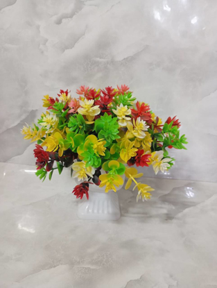 تصویر از شمشاد605