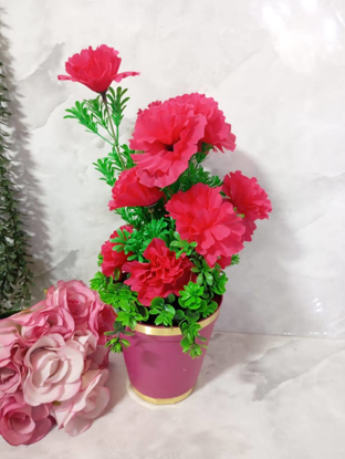 تصویر از میخک رنگی