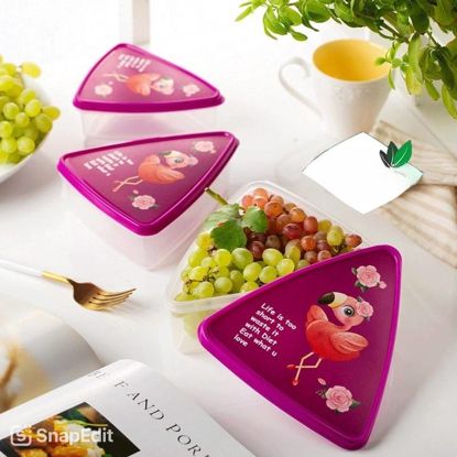 تصویر از پک فریزری مثلث رادیانت