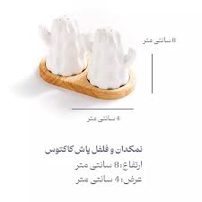تصویر از نمکدان جفتی کاکتوس