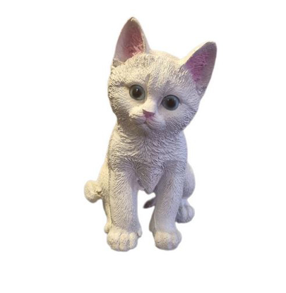 تصویر از پلیمر موج سفید