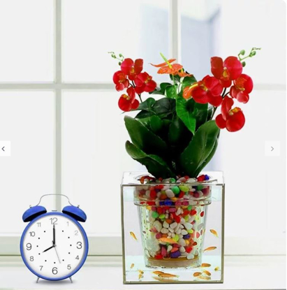 تصویر از گلدان اکواریوم