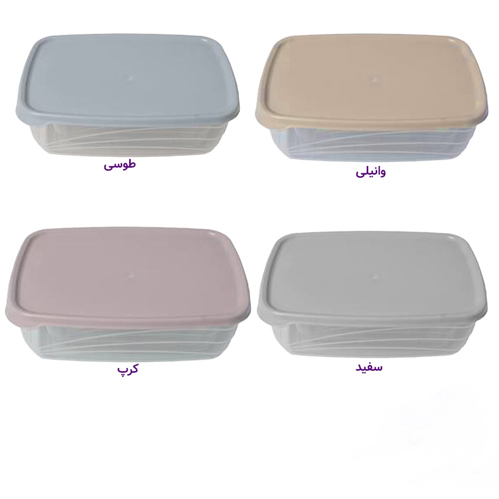 تصویر از فریزری مستطیل لیا130میلی ترمه