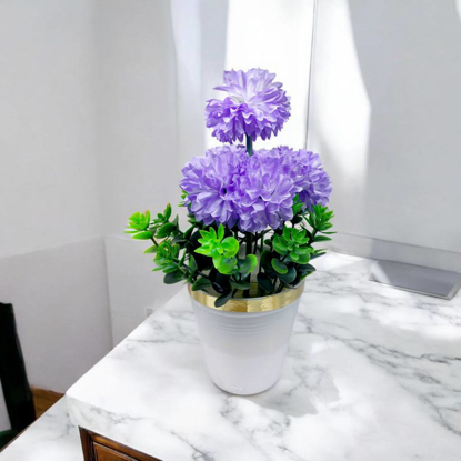 تصویر از داوودی5گل